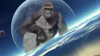 idubbbz Summons HARAMBE back from the dead