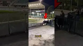 How to Stop a Greyhound Race!