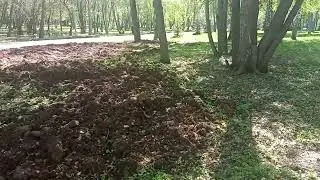 Белка