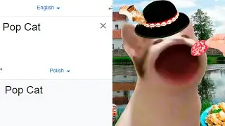 Pop Cat in different languages meme (Part 2)