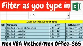 Filter data Real time as you type in Excel | Dynamic Filter