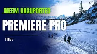.Webm File Not Supported in premier pro