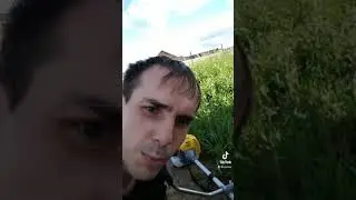 Собрался косить траву триммером