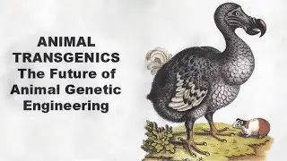 Frankenstein Science: Animal Transgenics (2006) | Documentary Preview | Monarch Films