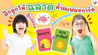 ฝึกลูกให้ฉลาด พัฒนาสมองซีกขวา ด้วย บัตรคำศัพท์ เสริมพัฒนาการลูก ฝึกความจำลูกด้วยแฟลชการ์ด Flashcard