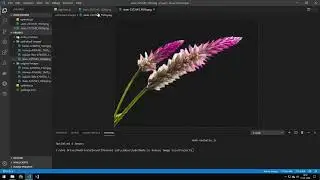 Optimize Image Size With JavaScript in Node js