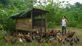 Doctor Jack built a chicken coop out of bamboo, raised chickens and lives in nature