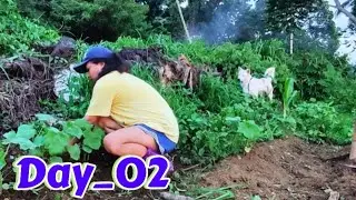 Prepare the ground for planting | part2