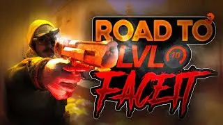 Level 6 IS WILD | Road to FACEIT Level 10 ep.3