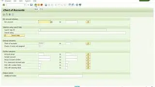 SAP FICO General Ledger 3