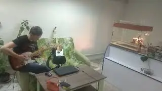 Выставка экзотических животных
