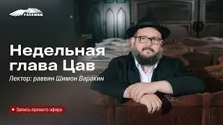 Недельная глава «Цав». Раввин Шимон Варакин.