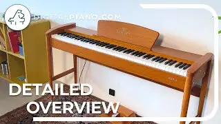 Sonora SDP-3 - Detailed overview | Digitalpiano.com