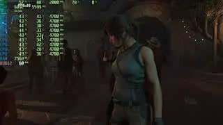 Shadow of the Tomb Raider DirectX12 problem.
