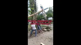 Menegang kan!!! Proses Managak an Batang Pinang!!!