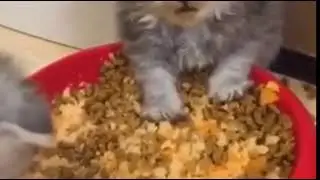 Oh boy, I think I ate too much