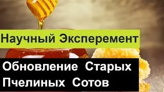 №84 Обновление Старых Пчелиных Сотов Пчеловодство. Пасека