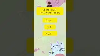7 вопросов на общую эрудицию