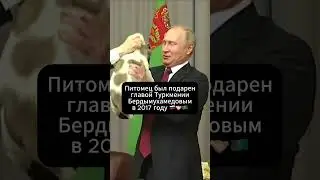 Путин попрощался с питомцем 