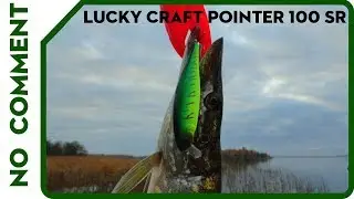 Lucky Craft Pointer 100SR. Ловля щуки осенью на Финском заливе