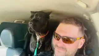 Ура! Дрессировка!