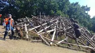он не один!