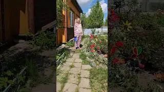 Где эта улица где этот дом. #shorts #shortvideo #sketch #приколы #юмор #смех #шутка #весело #дача