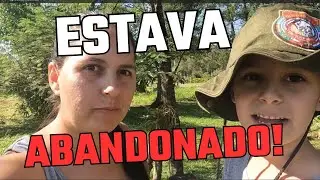 o que PLANTAR em JUNHO.??
