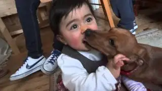 CUTTEST Dog & Baby KISSES