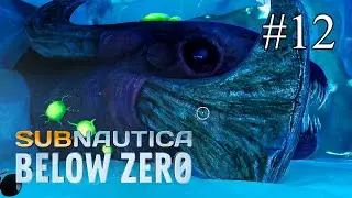 Subnautica Below Zero ➤ ПРОХОЖДЕНИЕ #12 ➤ Древний левиафан