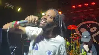 Dropout Kings - Virus [Live]