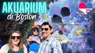 PERTAMA KALI LIHAT PENGUIN! Seperti ini akuarium di Boston.
