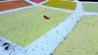 Kunstinstallation: Where do you come from...