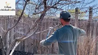 Spring Garden and Yard Clean Up for Urban Farming