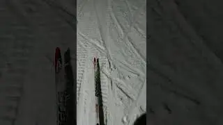 Мороз и лыжи.