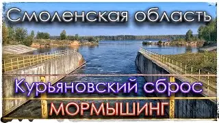 Курьяновский сброс. В Смоленской области. Мормышинг