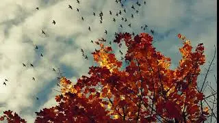 Not free type beat (Type Beats) prod. by SUNRISE BEATS - RAP BEAT - lonely summer