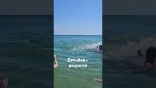 дельфинчики