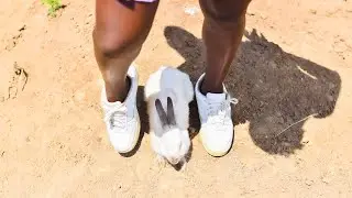 ASMR LADY TRAMPLING RABBIT WITH NIKE SHOES