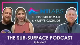 Fishkeeping in Australia vs UK | The Sub-Surface Podcast Ep. 2 w/@Kaityscichlids & @FishShopMatt
