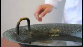 Water Bowl Video.mov