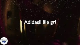 Carla’s Dreams - Adidasii gri (versuri)