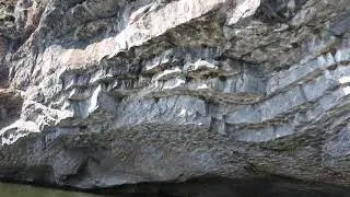 Гнёзда воронка Delichon urbica в геопарке 