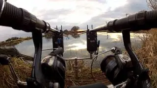 Carp Run Action / Freestyle Fishing Short Session Part 4