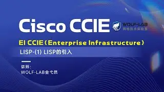 EI CCIE培训学习视频1-LISP的引入
