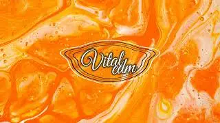 James Vincent & Vital EDM - Dont Give Up