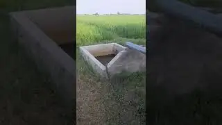 Tubewell agriculture land💧#shorts #agriculture #viralvideo