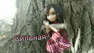 Эвер Афтер Хай / Топ 5-ть фактов о Сериз Худ.