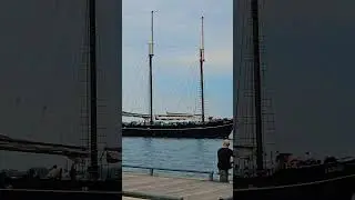 City Cruise lakeshore Toronto Canada #short #samsungs23ultra #canada