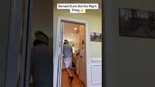 Donald Duck did the right thing 